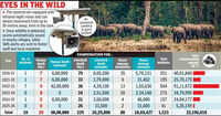 AI cameras aim to track elephants, reduce man&ndash;animal conflict in CG