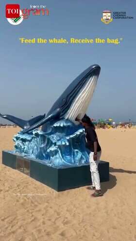 Whale-Themed Recycling Initiative Promotes Cleanliness at Marina Beach