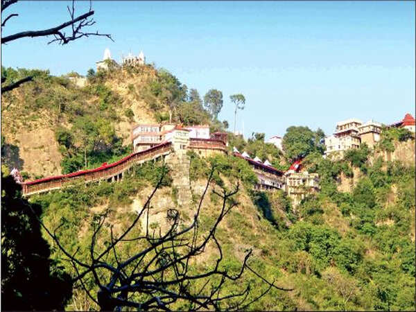 Dhumal assembly loss a bump in BJP’s Hamirpur hot streak?