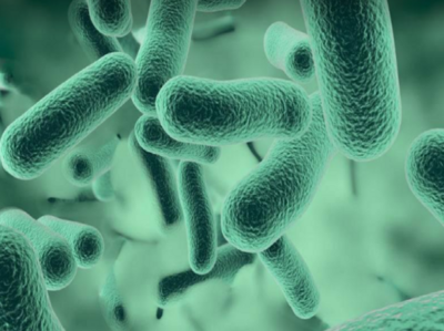 Kerala: Shigellosis strikes Kozhikode; toddler dies