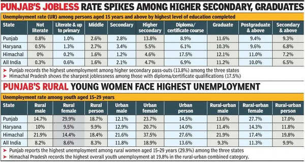 Educated youth struggle for jobs across Punjab, Haryana, Himachal