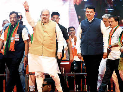 Shah hopes to ride on Article 370 in state