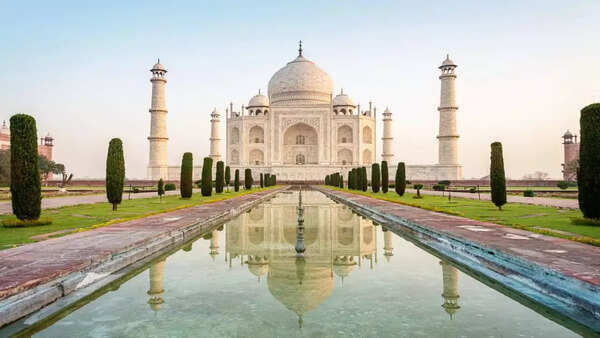 UP eases tree-felling rules in Taj zone; simpler approval process beyond 5km radius