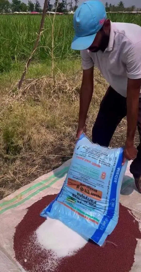 Farmers worried about kharif season as fertiliser companies hike prices