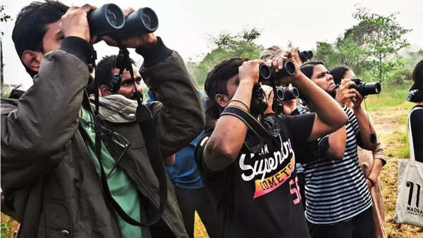 This weekend, let’s discover Chennai’s feathered friends