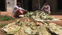 COVID-19: WB's Tribal facing difficulty in managing a meal 