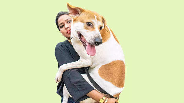 Woof! What Some People Are Getting Wrong About Strays