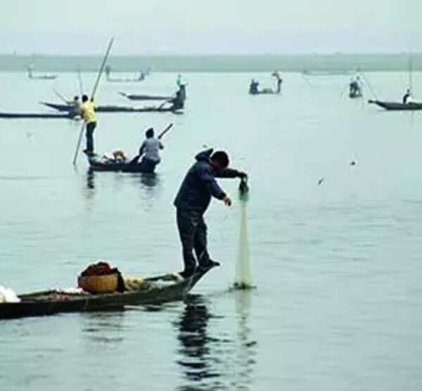 Govt vows to plant 10 times the no. of trees felled near Deepor Beel