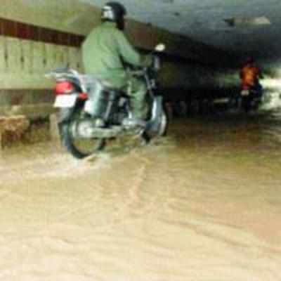 'No major water logging reported in NM this year'