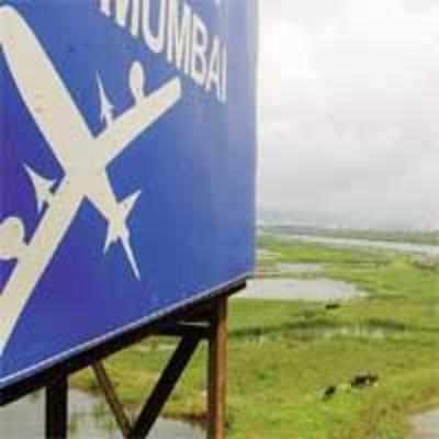 State seeks court nod to chop mangroves at new airport site