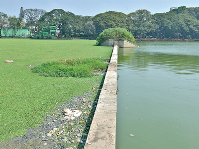 Ulsoor lake getting ready to reveal its lost glory