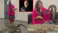 Pakistani pop singer who threatened PM Narendra Modi with pythons, alligators faces legal action 