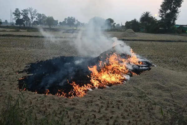 Crop residue burning picks up pace in Punjab, Haryana