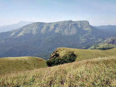 Karnataka: Western Ghats turn a sad shade of green