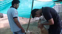 City collegians turn animal rescuers 