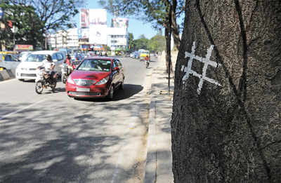 Trees on Palace Road get hash treatment