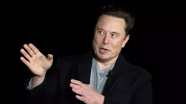 Why Elon Musk is poking his nose into issues he is not supposed to