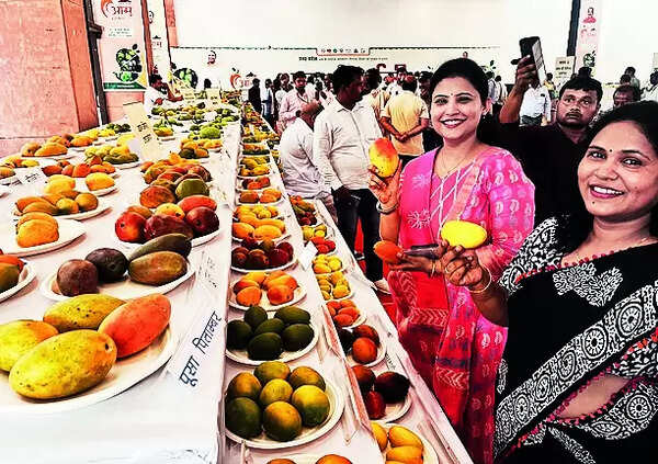 Afeem, Jafran & many more: A mango fest to regale senses