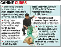 Goa to set up dog shelter in each district, appoint 20 dog catchers