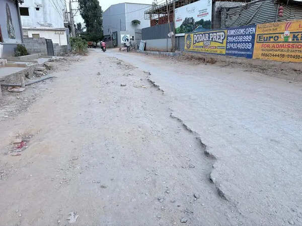 Potholes, trash & flooding: Bengaluru’s Choodasandra residents face daily ordeal