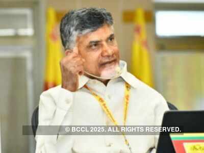 TDP overhaul: Chandrababu Naidu dumps district set up, forms panels for LS constituencies