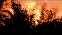 US: Massive fire at lumber yard in California 