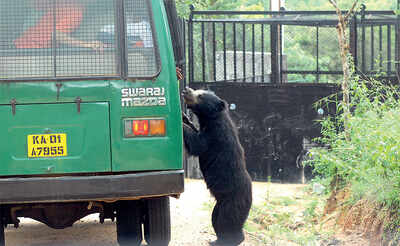 Bannerghatta Biological Park wildlife safari to get sensor clearance