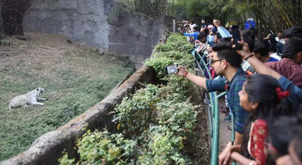 PMC urges forest dept to drop charges against Katraj zoo director, return animals