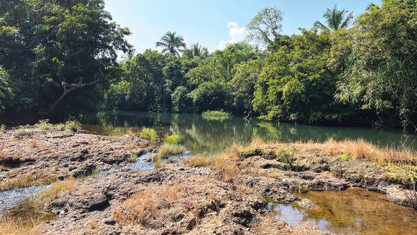 Why Goa is yet to get its IIT