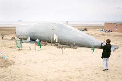 40 feet long whale washes ashore near Mumbai