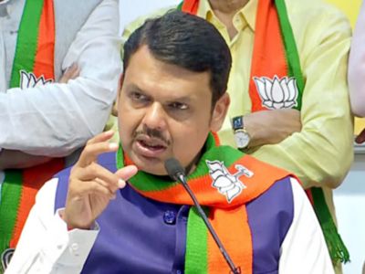Devendra Fadnavis: Shiv Sena 'betrayed' BJP, public mandate in Maharashtra