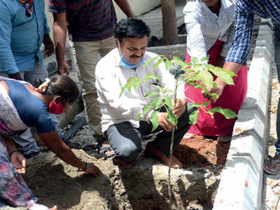 Sahakarnagar’s eco-warrior celebrated Environment Day by planting 200 saplings in his area