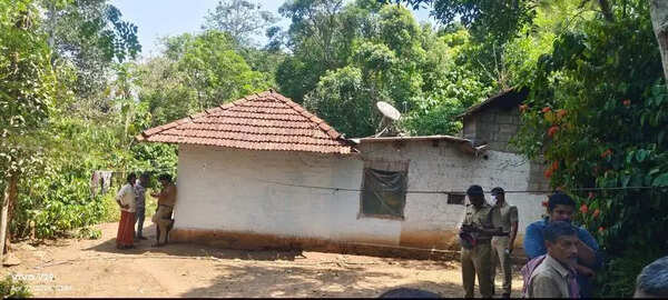 Bodies of elderly woman, son found buried near house in Idukki