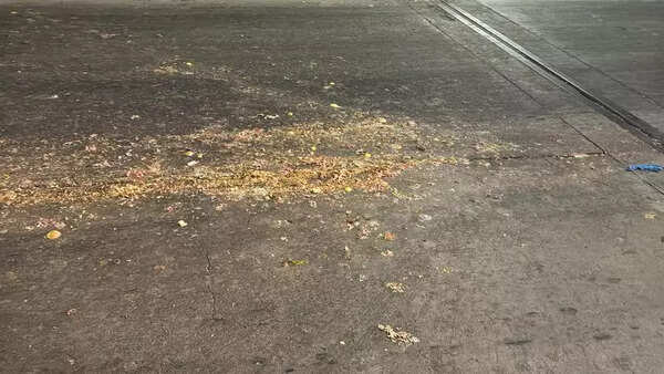 Garbage trucks to Kodungaiyur leave a hazardous trail