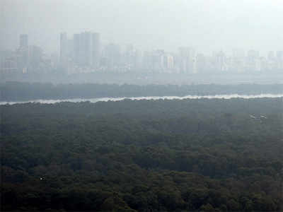 BMC gets go-ahead for transplanting 87 acres of mangroves