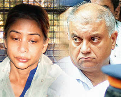 ‘Peter called Indrani his retirement plan’