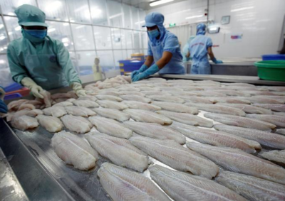 China suspends fish imports from Indian firm after coronavirus detected