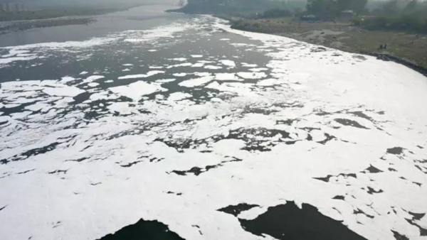 With fund flow assurance, Delhi Jal Board proposes 100-day Yamuna plan