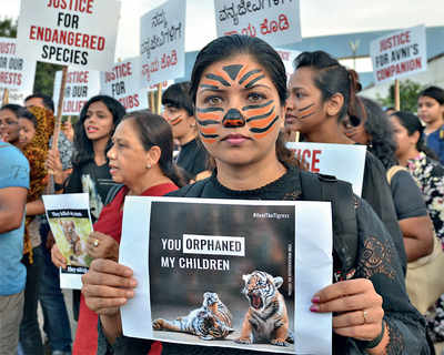 Bengaluru activists protest for Avni