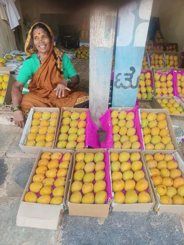 Mango Mela cancelled in Dharwad as poor yield hits growers, buyers