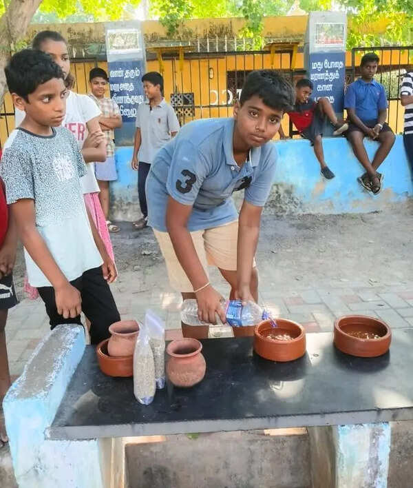 Trichiites launch pot challenge to feed birds in summer
