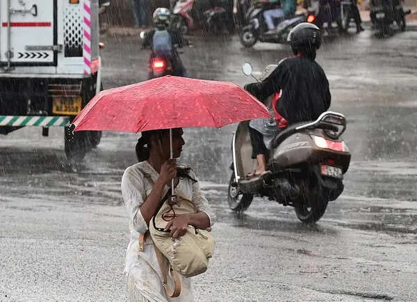 Light rainfall in parts of Kerala, humid weather continues