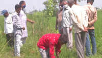 ‘New farm laws will help us to sell produce across country’: Vadodara Farmers 