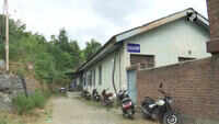 Poultry production in Valley scores 85% success results 