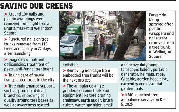 In 72 days, tree ambulance removes nails, plastic sheets from 110 trunks