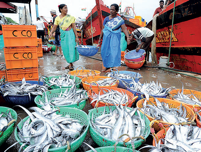 Lift ban on import of fish, Karnataka Chief Minister H D Kumaraswamy tells his Goa counterpart Manohar Parrikar
