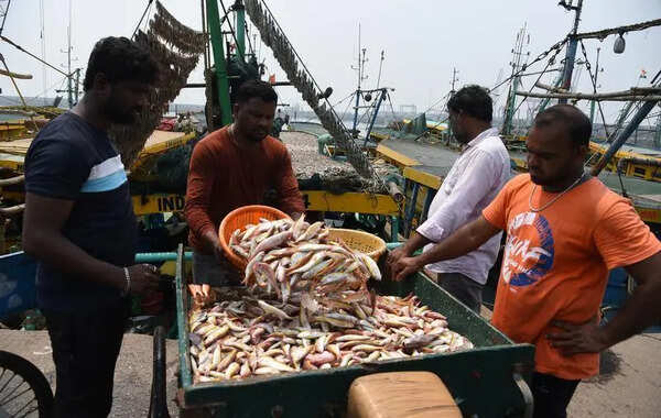 Deep-sea fishing ban spurs 40% surge in freshwater fish costs in AP