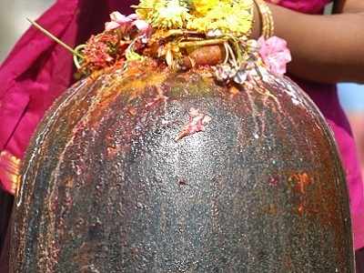 Andhra Pradesh: Septuagenarian priest collapses in sanctum sanctorum of Someswara Swamy temple, dies
