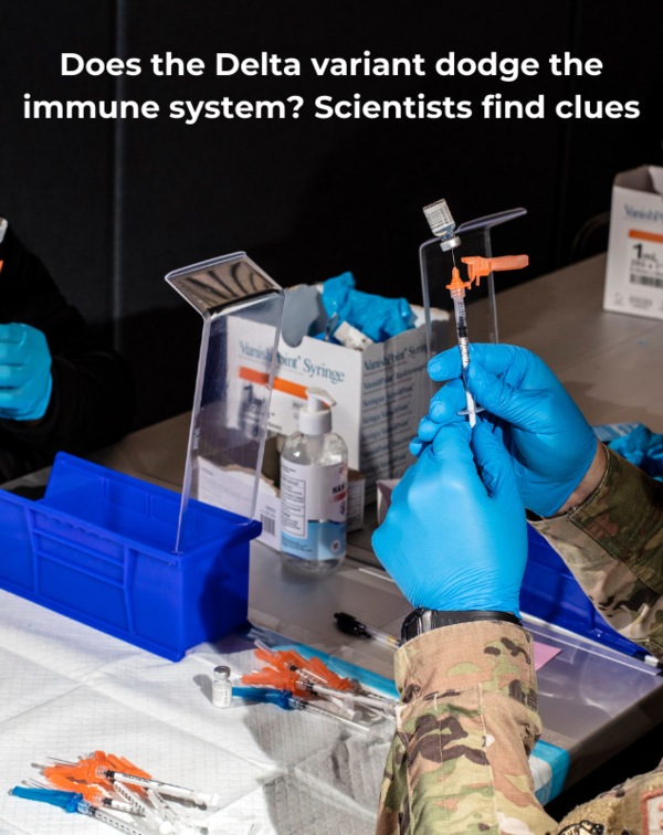 Does the Delta variant dodge the immune system? Scientists find clues