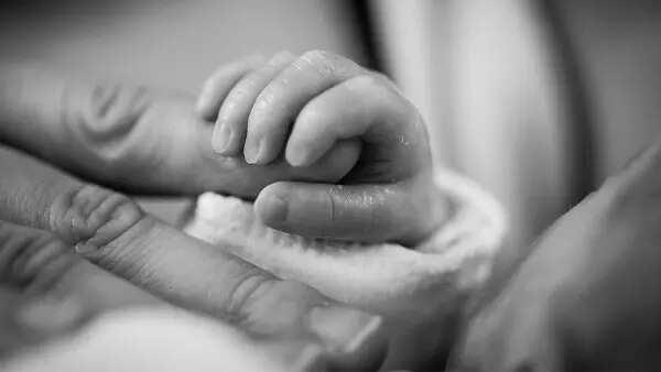 Why a single man and a married mom are challenging our surrogacy laws